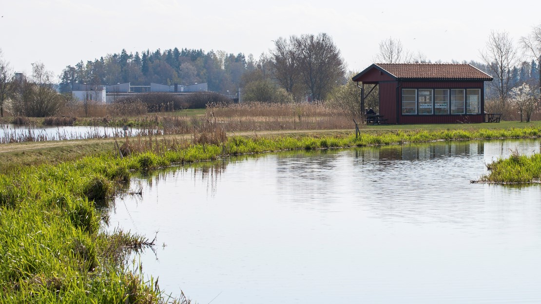 Ekeby våtmark