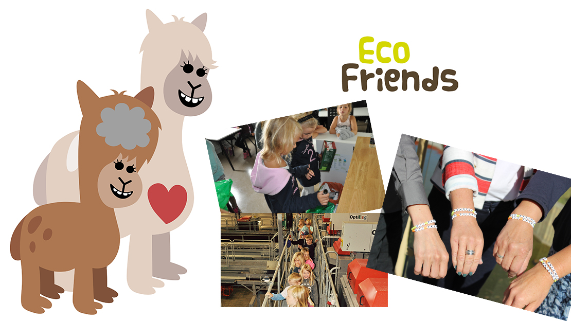 Vinjett för Eco Friends