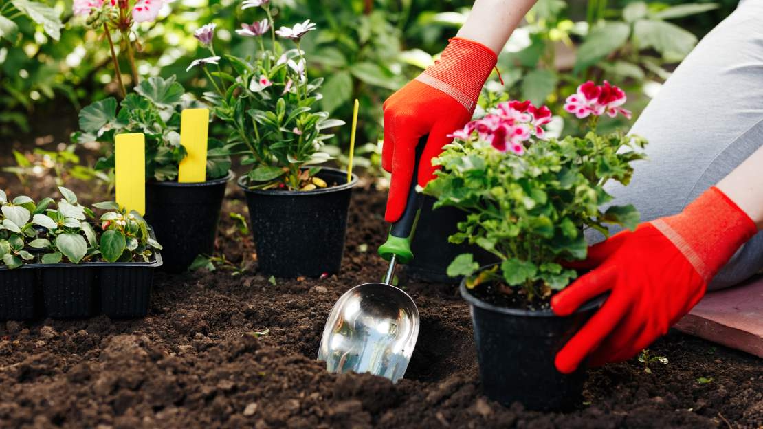 Köp lokalproducerad jord från oss