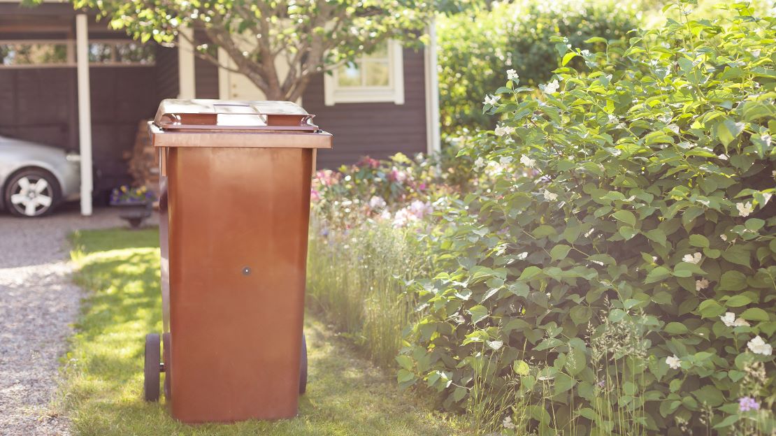 Ett brunt trädgårdskärl i en grönskande trädgård