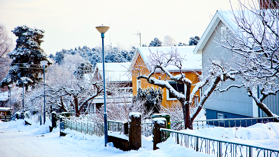 Villor i vinterlandskap