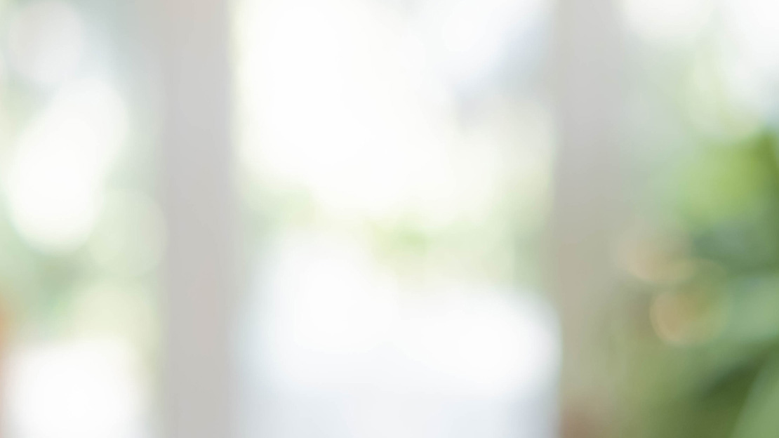 Diffusa konturer av ett fönster och en grön växt